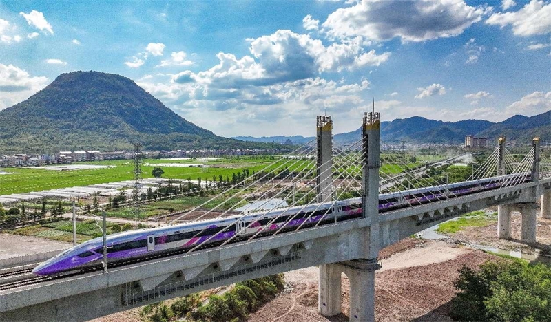 Un train à grande vitesse violet circule sur le pont de Hengdian de la ligne à grande vitesse Hangzhou-Wenzhou, dans le canton de Hengdian de la ville de Dongyang, dans la province du Zhejiang (est de la Chine). (Jin Sicheng / Pic.people.com.cn)